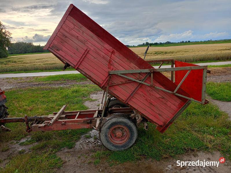 Sprzedam przyczepę jednoosiową nieuszkodzony Przasnysz