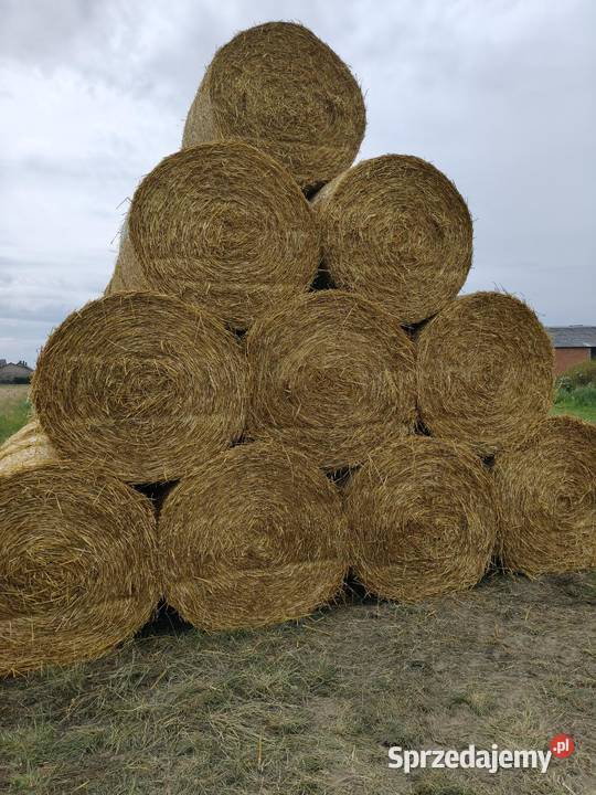 Sloma 150x120 Siano prasa pasowa Radzyń Podlaski