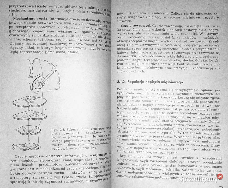 Leki a kierowcy Andrzej Danysz