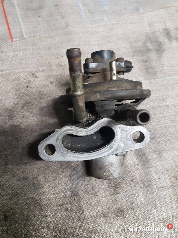 MAZDA 626 XEDOS FORD PROBE 25 V6 ZAWOR EGE wielkopolskie Turkowice