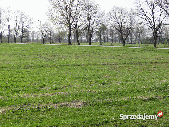 działka budowlanagmOświęcim Pławy sprzedam
