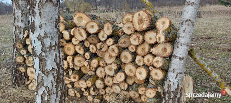 Drewno liściaste osika 200 Olsztyna Wojtkowizna