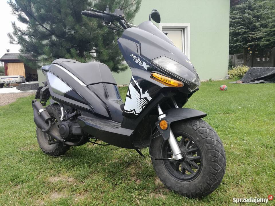benelli quatro nove 49x Kłaj