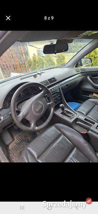 Audi a4 Borzechowo