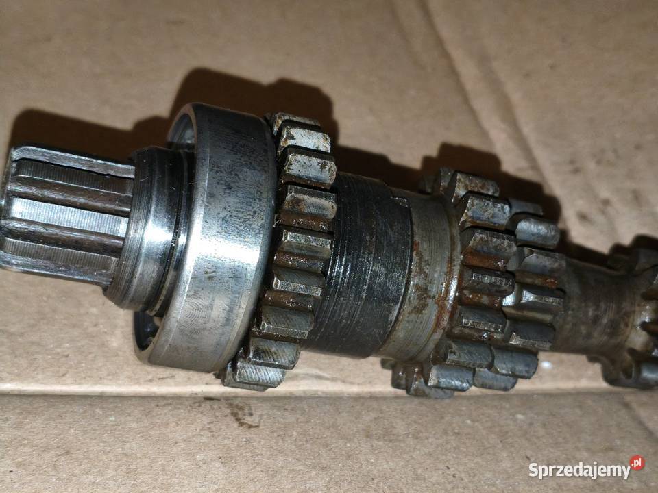 Wał skrzyni biegów że wstecznym biegiem Dniepr wielkopolskie Leszno