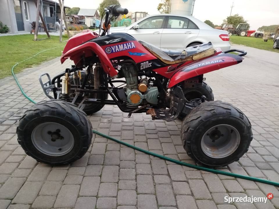 Bashan 250 wielkopolskie Trzcianka