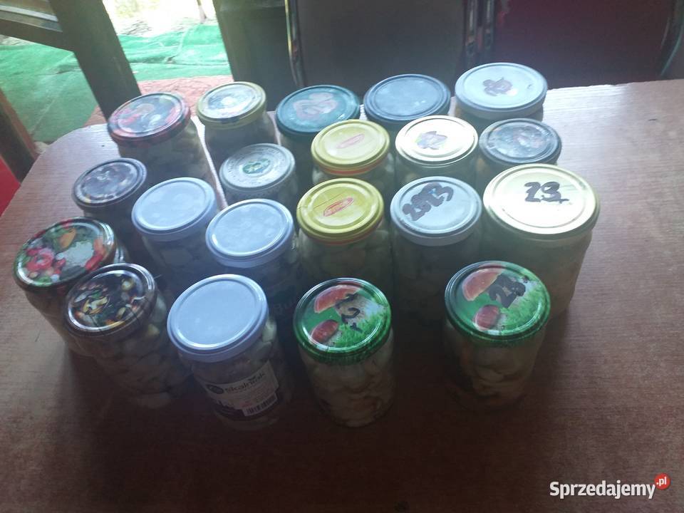 Grzyby świeże prawdziwki Pozostałe