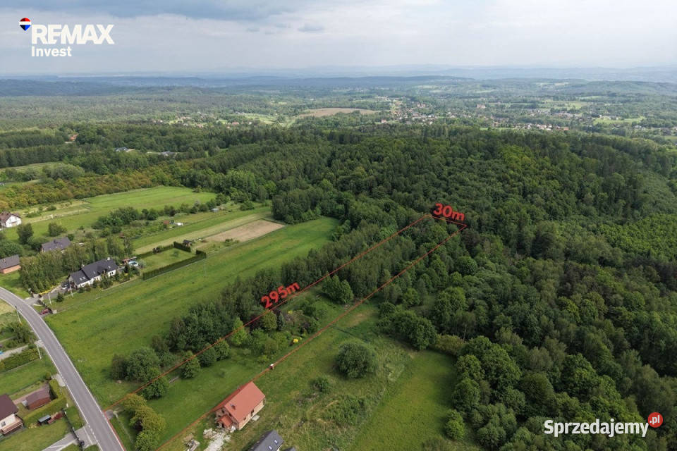 Duża działka 76 arów z klimatem A4 las wąwóz małopolskie Grojec sprzedam