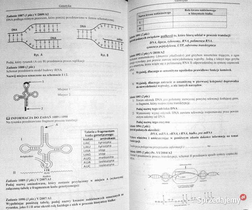 BiologiaTom 1 Zbiór zadań z odpowiedziami Rok wydania 2013