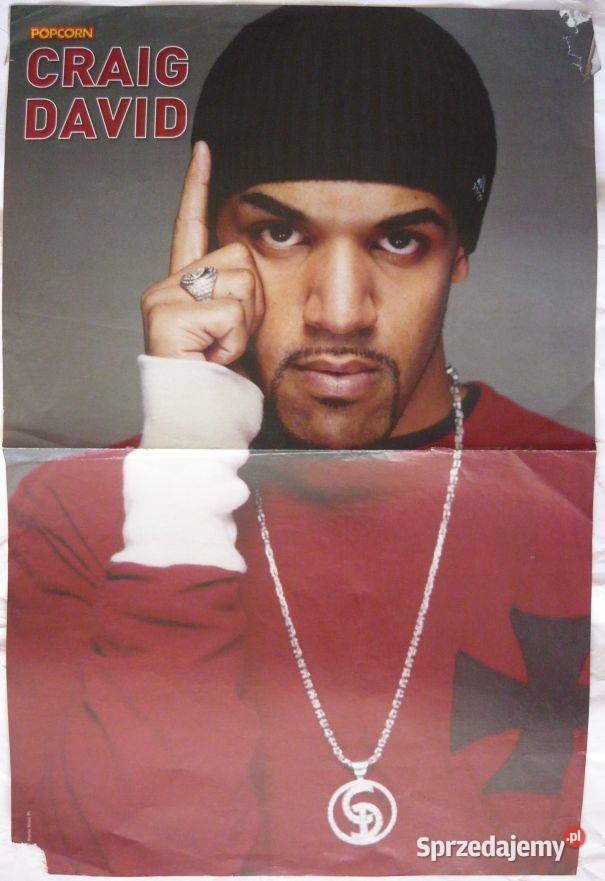 PLAKATY CRAIG DAVID WYPRZEDAŻ ŚWIAT PLAKATÓW Bydgoszcz