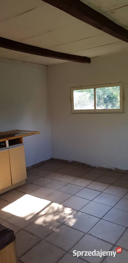 Super Działka Rekreacyjna ROD w centrum Wrocław