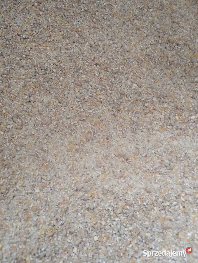 Mieszanka śruta kukurydza z pszenicą Ratajów