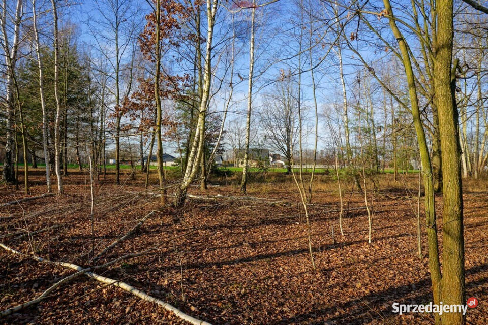 Działka budowlana 1004m2 Grądy k Żyrardowa sprzedam