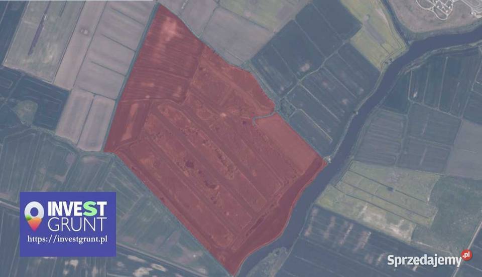 3389 ha grunty rolne przetarg na dzierżawę Nowa Kościelnica sprzedam