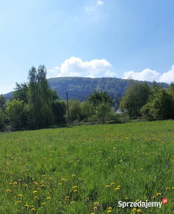 Słoneczna wszystkomająca klimatyczna i widokowa Trzemeśnia