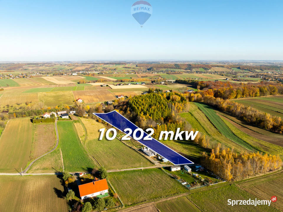 Działka z bijącym źródłem i kawałkiem lasu 30m Sprzedaż Stoki