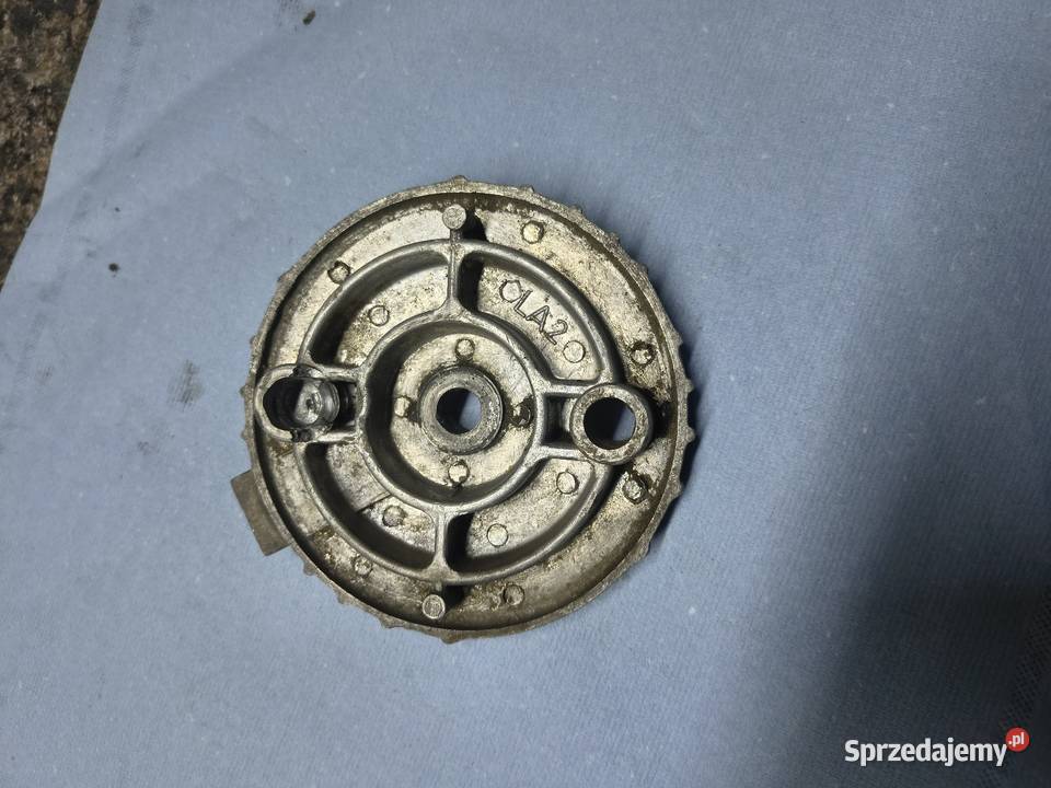 Szczękotrzymacz komar Żak Rzeszów