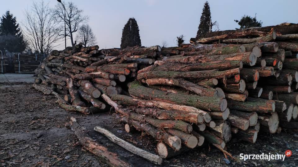 Drewno dębowe do kominka najwyższej jakości S2A Mysłakowice