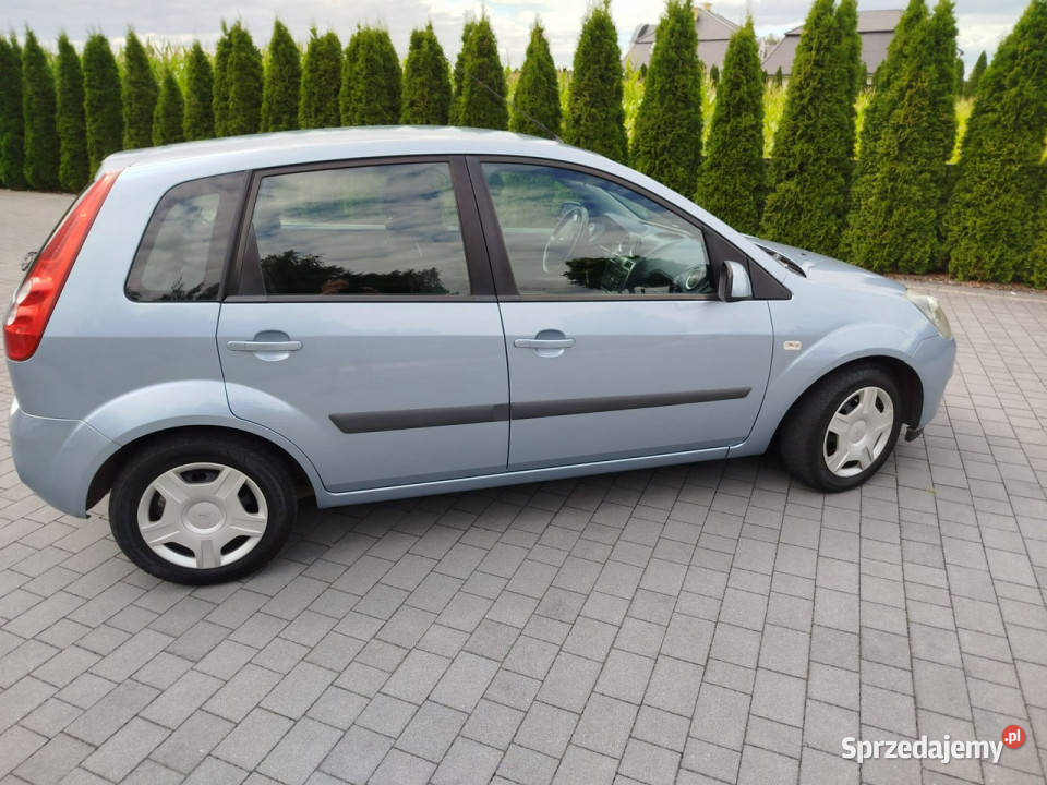 Ford Fiesta Mk6 20022008 szary