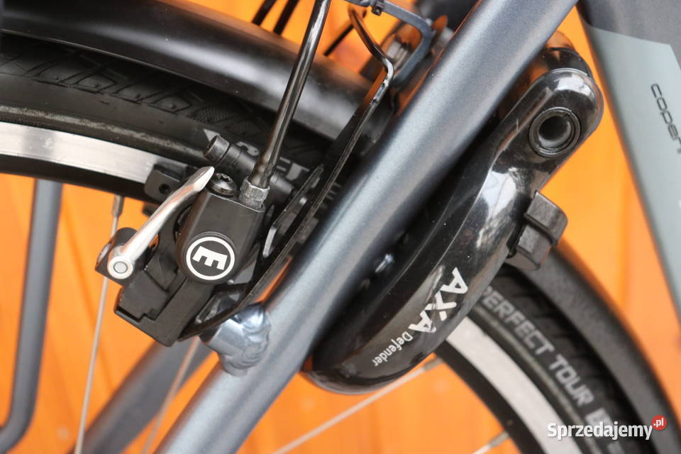 Rower elektryczny Stella Copenhague D 53 I inne Milanówek