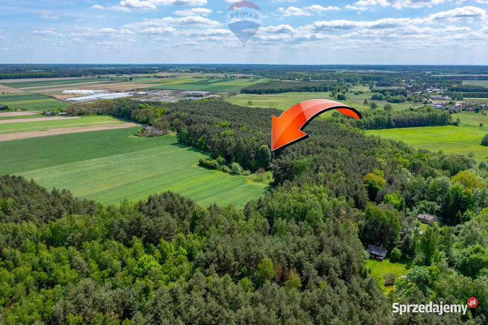 Budowlana 2300 m ze stawem i zielenią Góry Prusinowskie sprzedam