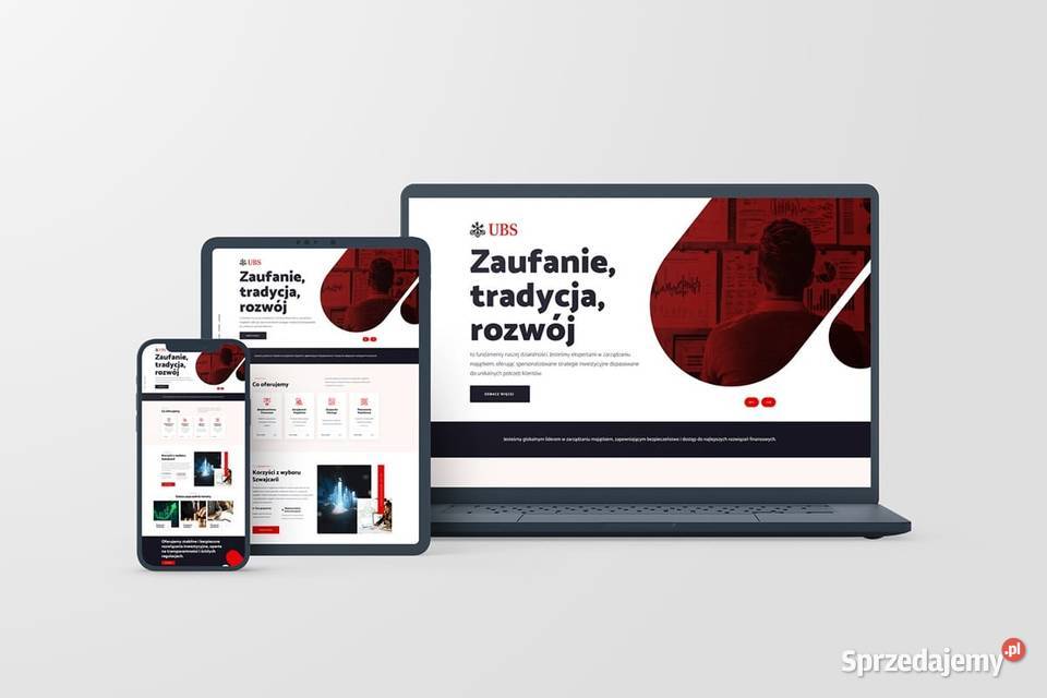 Tworzenie stron internetowych 899 responsywne i Szczecin