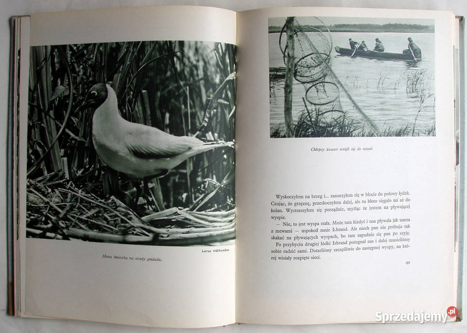 Wśród puszcz i jezior Zdzisław Wdowiński album Poradniki, albumy i reportaże małopolskie Limanowa sprzedam