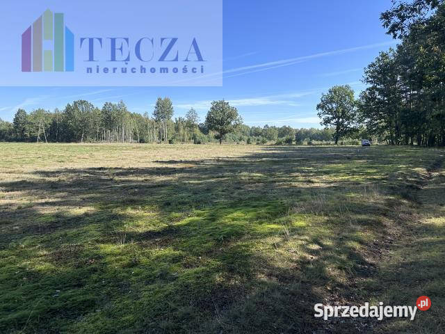 Sprzedaż działki Borucza 1800m2 75zł/m2