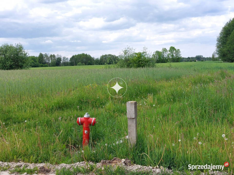 Działka budowlana Wólka Zabłocka Kolonia Wólka Zabłocka-Kolonia