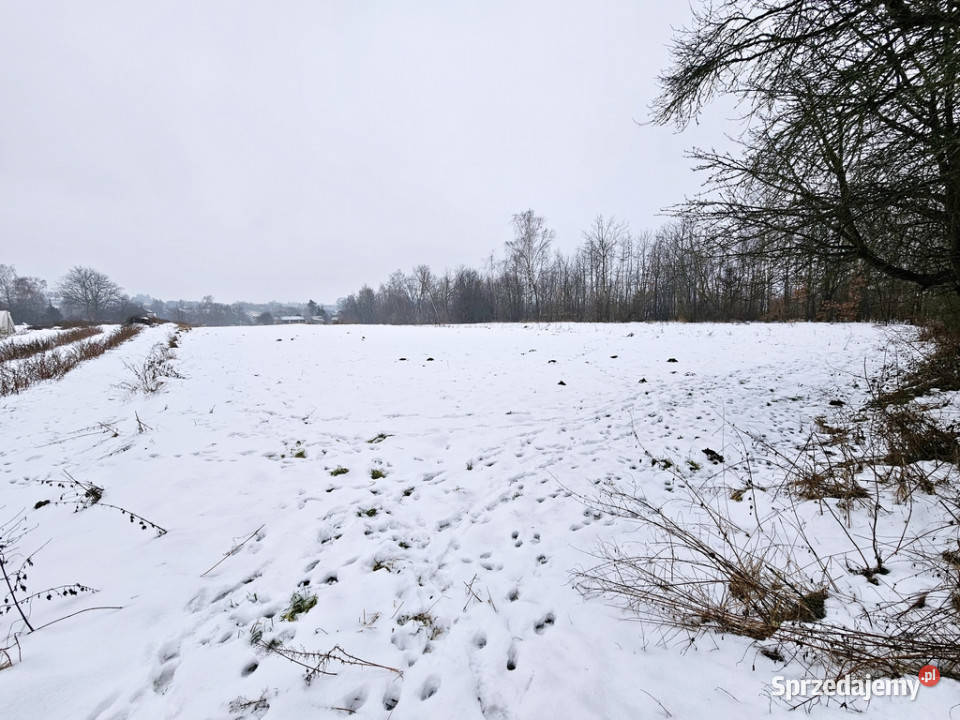 Drewniany dom z dużą działką pole sad las drewno Karczmiska Pierwsze