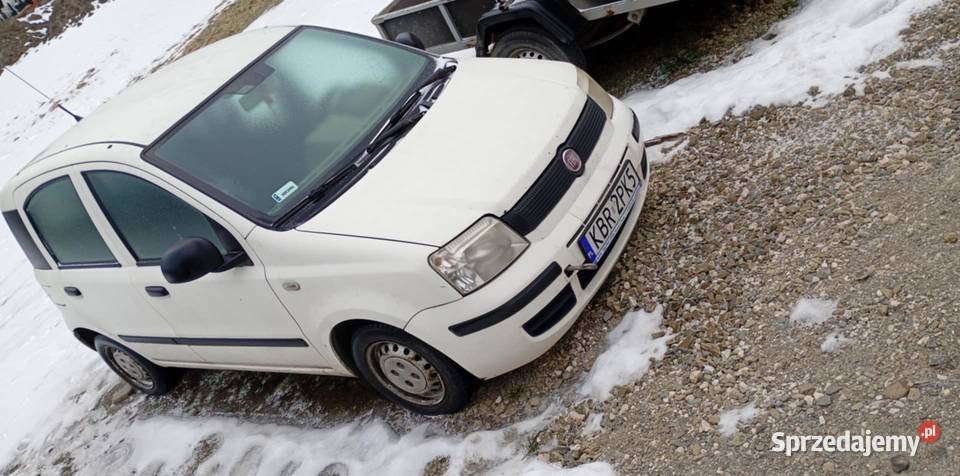 Sprzedam pande panda Drużków Pusty