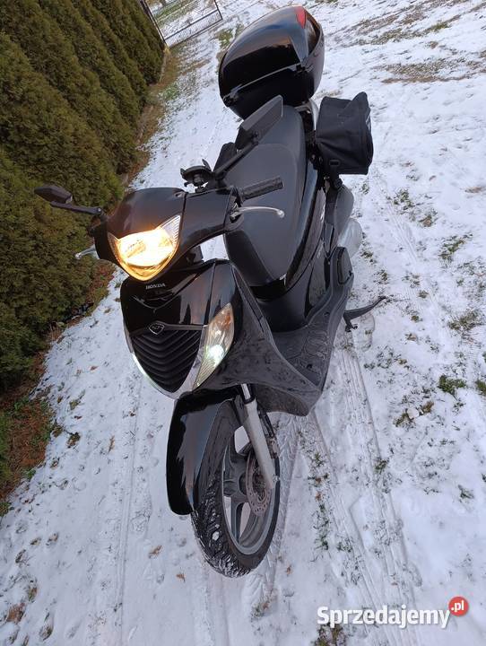 Honda SH 50125150i Rzeszów