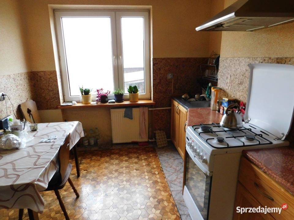 Syndyk sprzeda Klwatka Królewska sprzedam