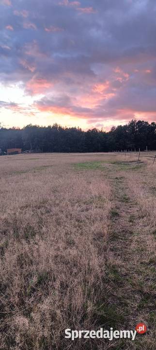 Działki na sprzedaż 50 m2 Nowogard Czermnica woda Grunty i działki zachodniopomorskie sprzedam