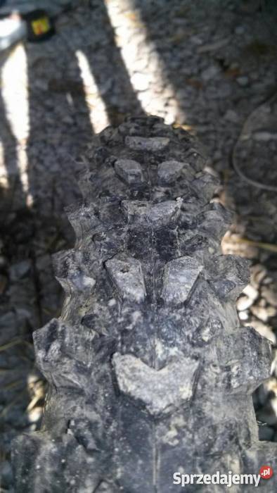 Rower Magnum Elite Acera podkarpackie sprzedam