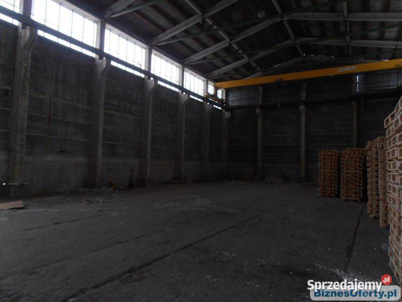 do wynajmu hala 1300 m2 Paczków