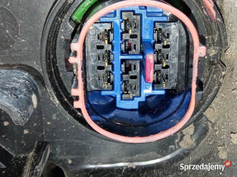 LAMPA PRZÓD HALOGEN DOLNY PRAWY EUROPA Rok produkcji 2021 świętokrzyskie
