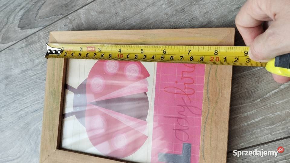 obraz obrazek dekoracyjny biedronka Poznań