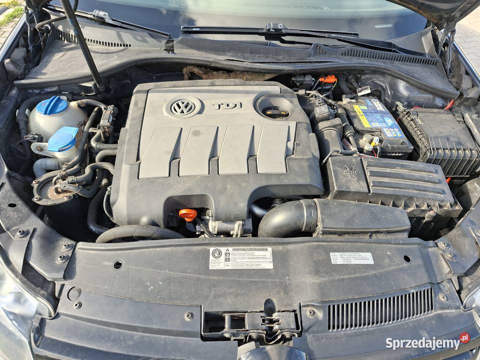 Volkswagen Golf kujawsko-pomorskie Wielka Łąka