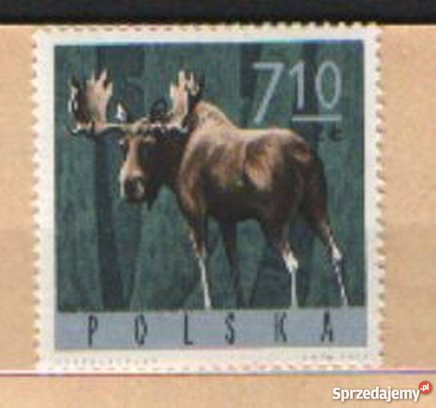 Zn Fi 1494 1965 Gliwice