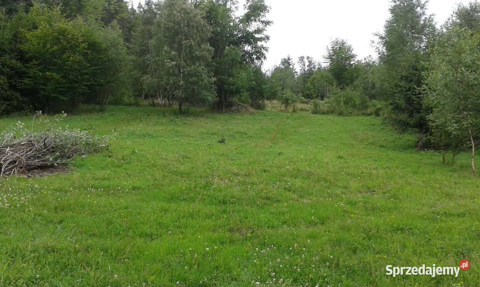 Piękna duża działka z widokiem na Babią Górę