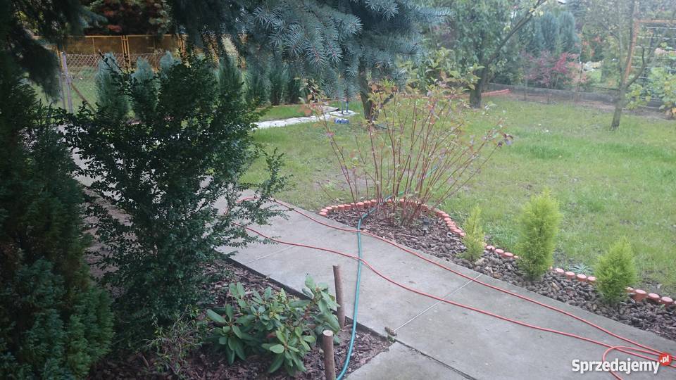 Działka rekreacyjna ROD Tęcza Złotniki