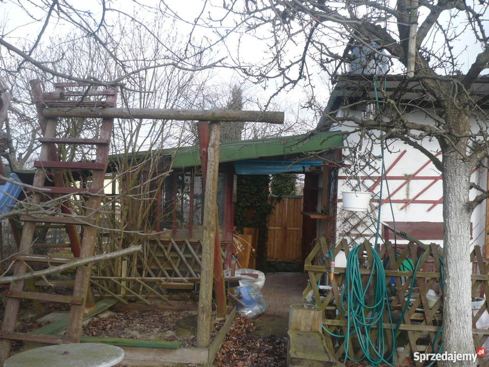 Działka ogrodowa w ROD Zorza Legnica Nieruchomości