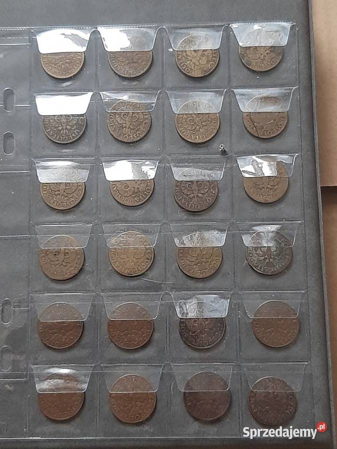 5 Groszy Numizmatyka śląskie Bielsko-Biała