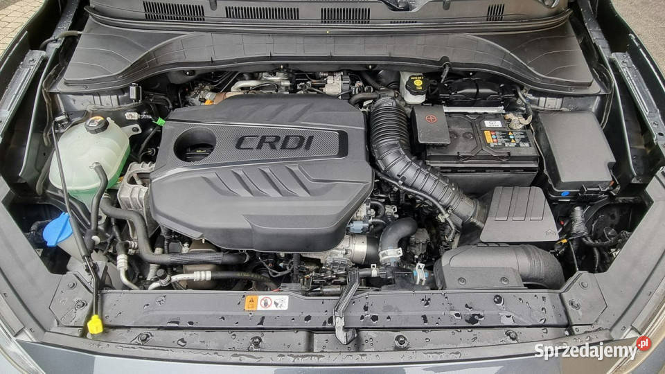 Hyundai Kona KRELL Kamera Cofania Pakiet Zima Rok produkcji 2020 Płońsk