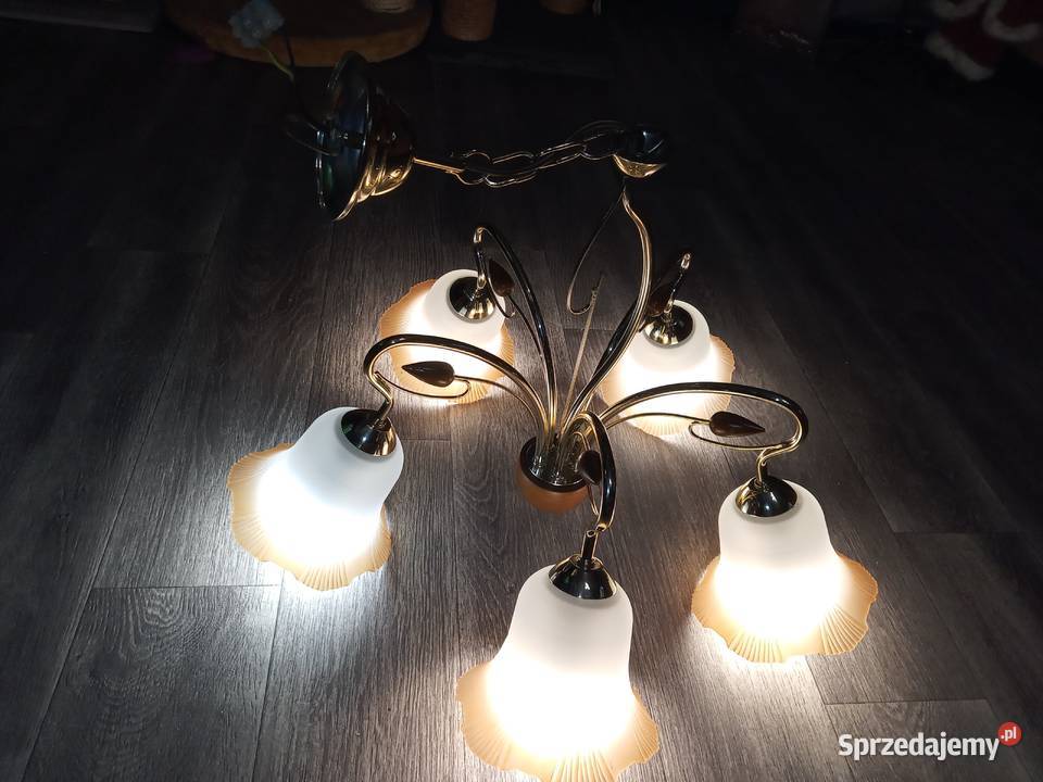 Żyrandol lampa sufitowa 5 żarówek śląskie Bytom sprzedam
