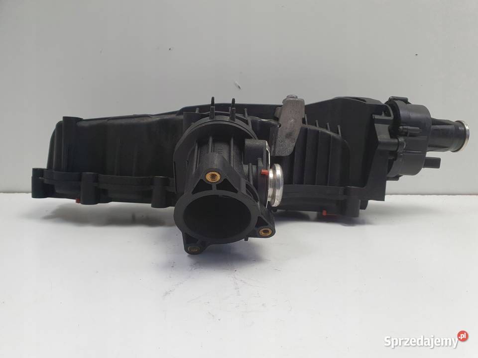 Audi A3 II 8P 16 TDI KOLEKTOR SSĄCY nastawnik