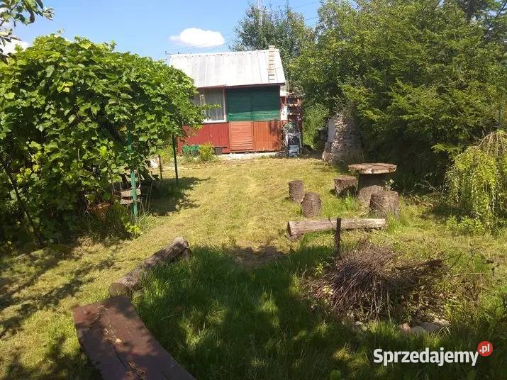 Dwie działki ROD MALWA 6a lubelskie Chełm