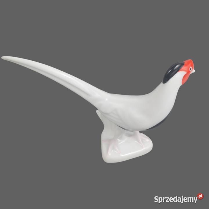 Look Bażant biało czarny porcelana Cluj Rumunia Bronisze