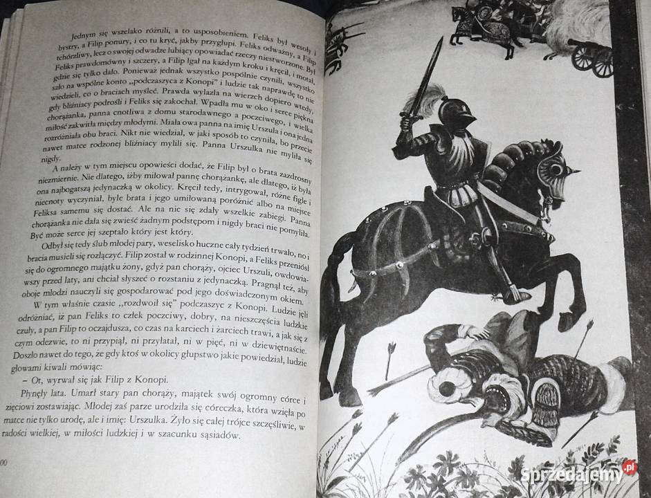 Halabarda Pana Błażeja Anna Lisowska